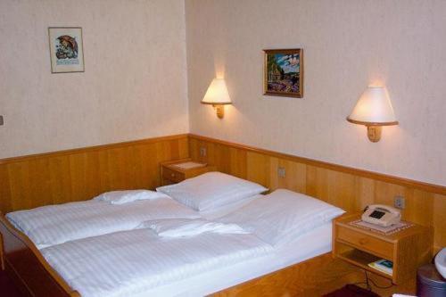 Hotel Waldesruh Georgsmarienhütte Cameră foto